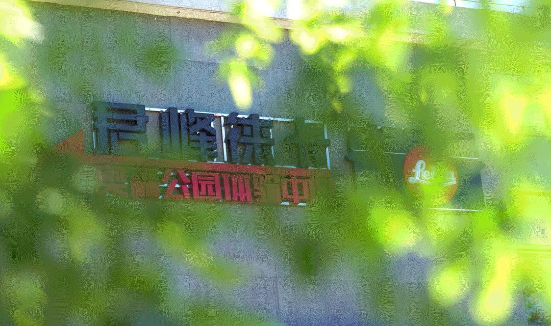 摄影师快门多少合适,摄影师快速连拍