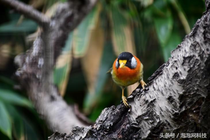 尼康d7500属于什么级别的单反,尼康d7500各种环境下的拍摄参数