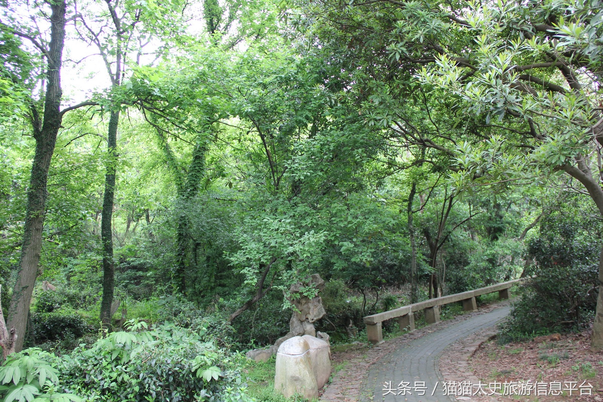 雨花胜境游玩攻略,东山雨花胜境景点介绍图片