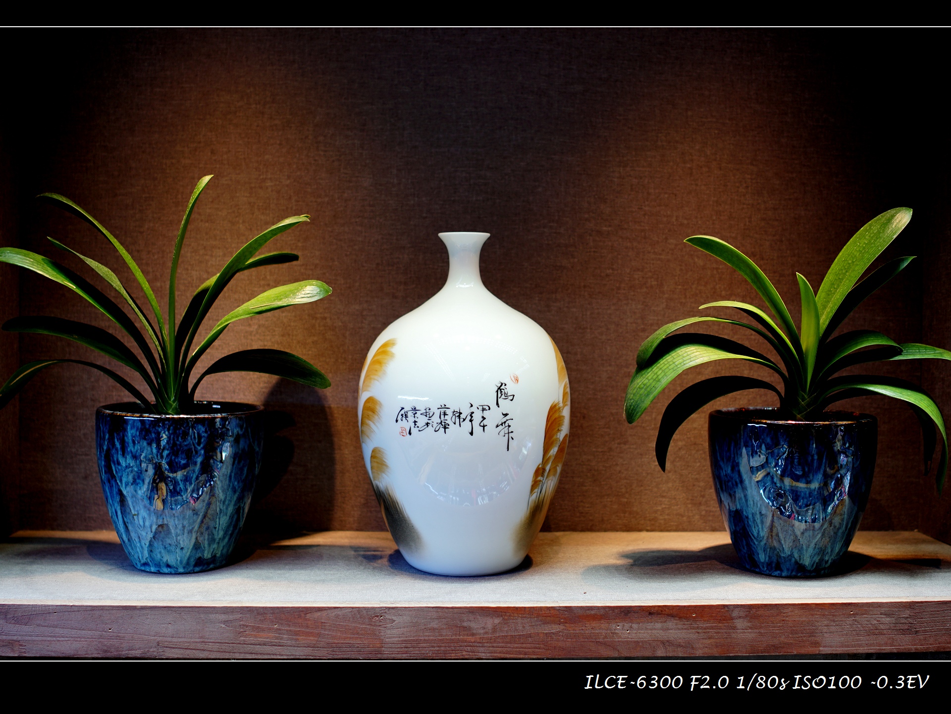 索尼微单a6000和a6300,索尼a6300微单摄影入门教程