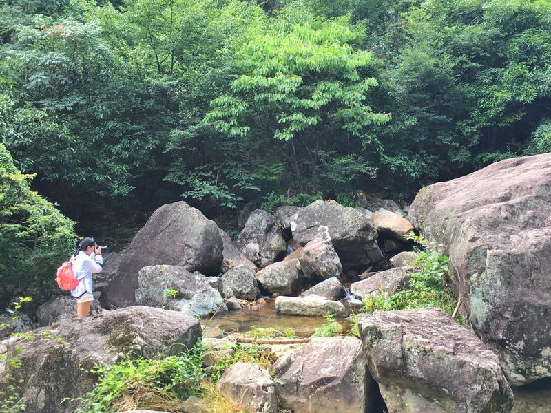一场说走就走的夏日旅游,一场说走就走的山水旅游