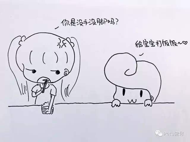 女朋友养狗是一种怎样的体验?