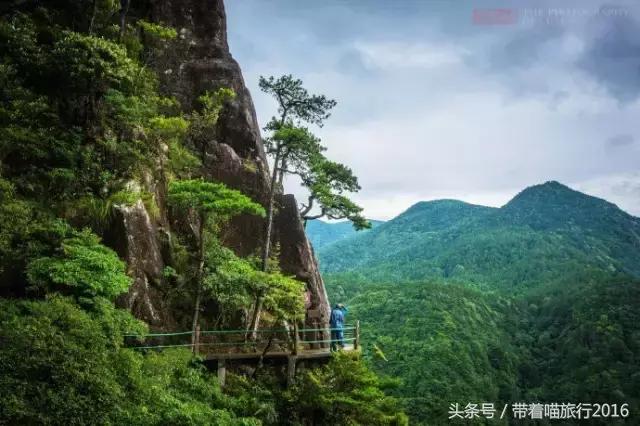 处州龙泉,处州龙泉在哪里