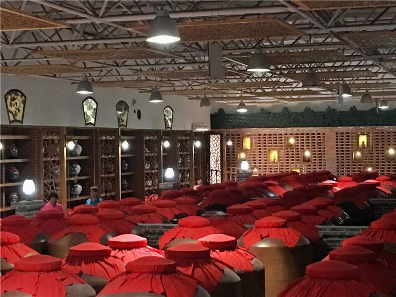 青山绿水间自由的飞翔,青山绿水放飞心情拥抱大自然