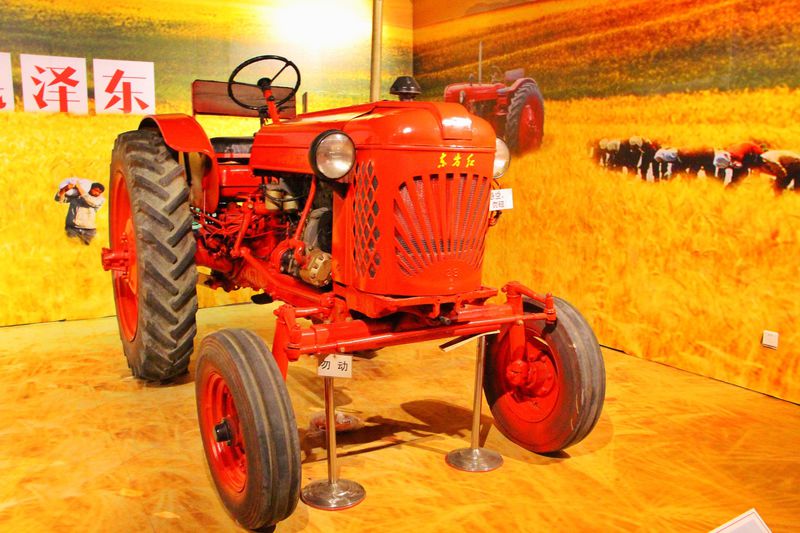 青山绿水间自由的飞翔,青山绿水放飞心情拥抱大自然