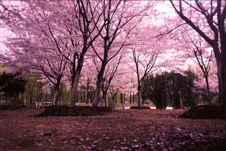 涓鍘呮妱琚肮椋熷爞,涓鍘呮槸鎶勮鐨勫悧