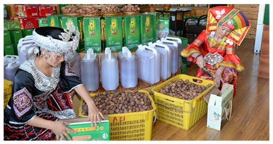 大山里的守望视频,深山里的守望