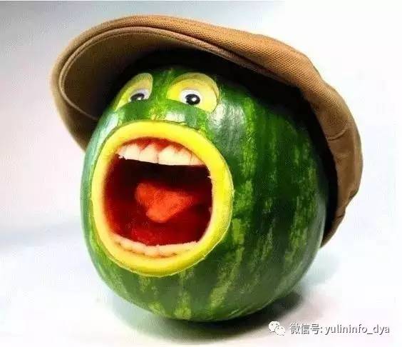 雨琳科技的程序猿们造作了!