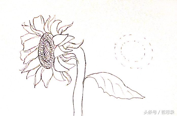 初学者画向日葵的详细教程,向日葵绘画教程简单易学