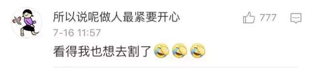 给流浪猫割双眼皮,成都流浪猫手术