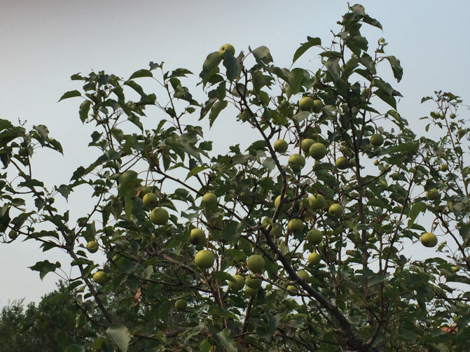 一场说走就走的环岛游,葫芦岛山海关自驾游