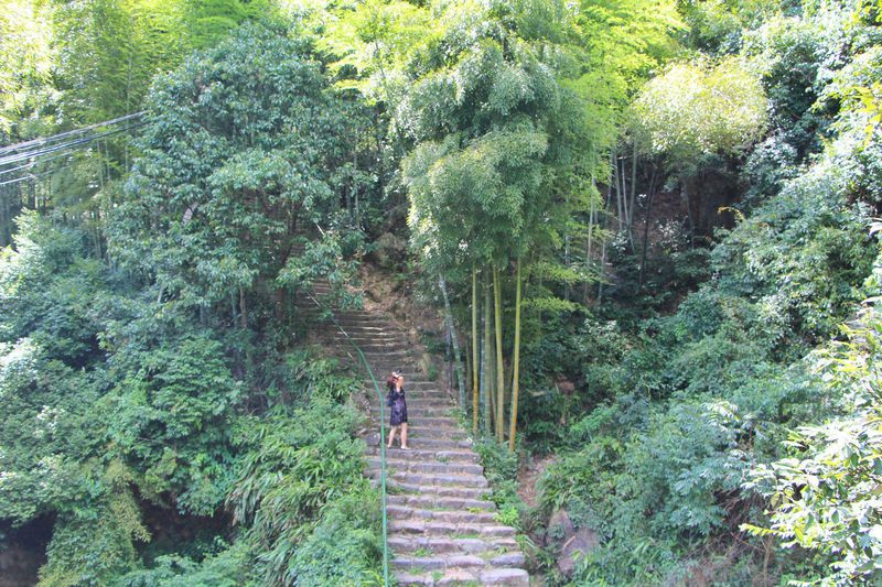 一场说走就走暑假旅行,一场说走就走的旅行来了