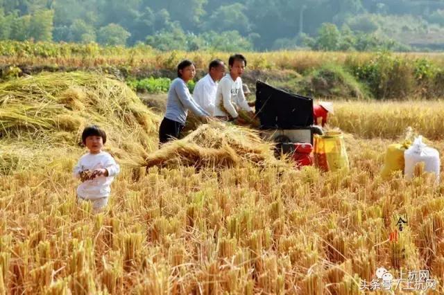 在上杭，我只是一名普通人，请您不要为难我！