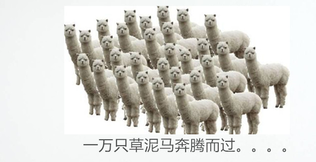 “逆天小萌”跟你说段子，进来了都乐了，你还不点