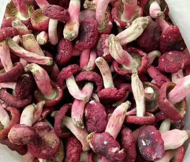 菌菇价格多少钱一斤,市场上的菌菇有几种最畅销