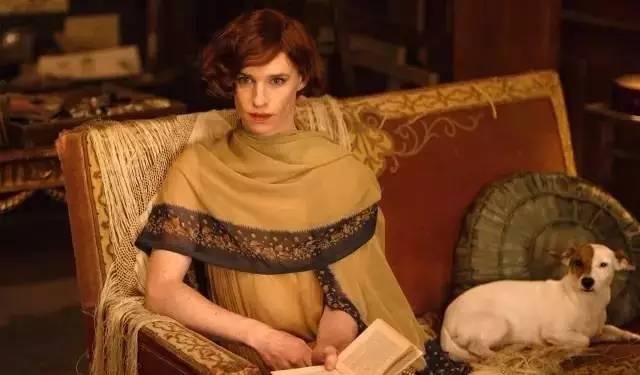 比金星还成功的变性,跨性别变性者