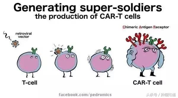 120万cart-t疗法利弊分析,一文读懂cart细胞免疫疗法