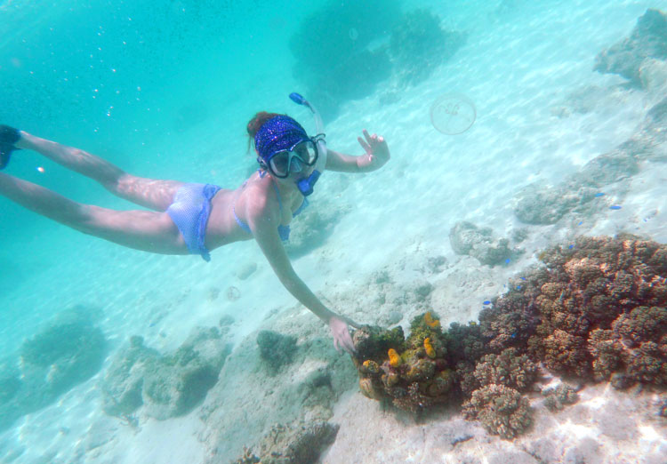 惠州巽寮湾住宿攻略,巽寮湾一天一晚旅游攻略