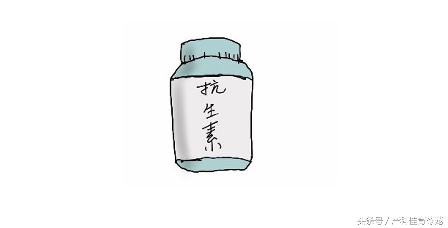 怀孕后可以养宠物吗,为什么怀孕不能养宠物