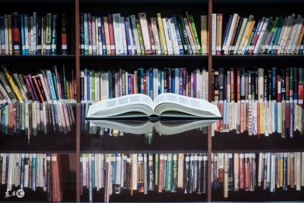 大宝精养二宝当猪养,大宝照书养二宝