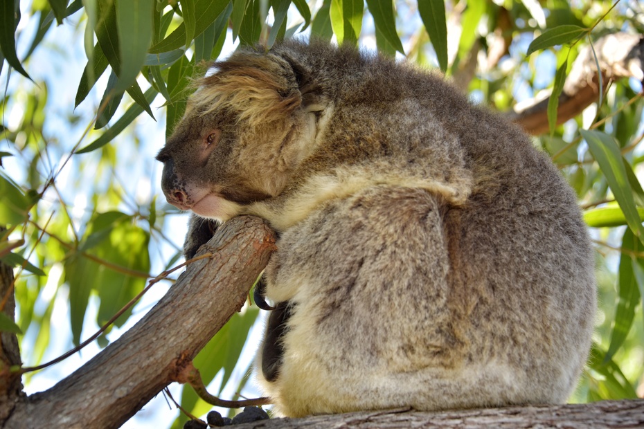 南大洋的深海,南大洋海域