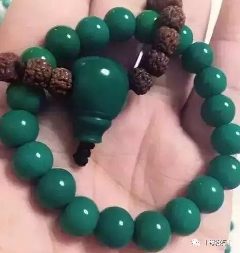 湖北松菌最多的地方,湖北松是什么意思