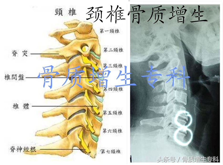 悟空问答上的神回复,悟空问答有赞必回吗