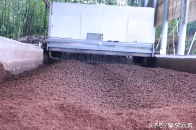 猪场发展与环保,猪场环保问题