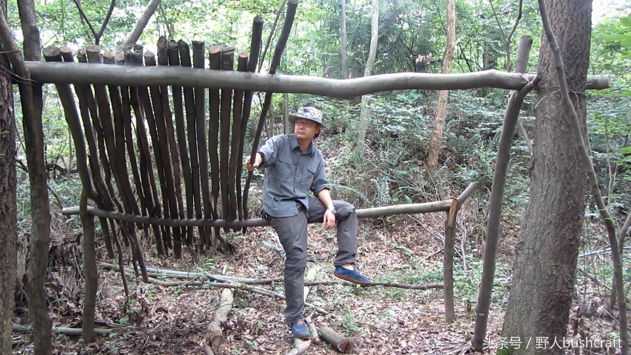 荒野求生徒手杀牛,荒野求生割生肉