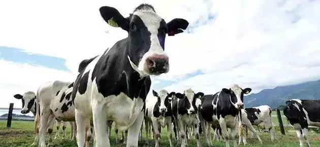 平价北欧品牌有哪些,北欧小众时尚品牌