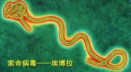 战狼2冷锋感染拉曼拉治愈救人,战狼二冷锋得拉曼拉怎么康复