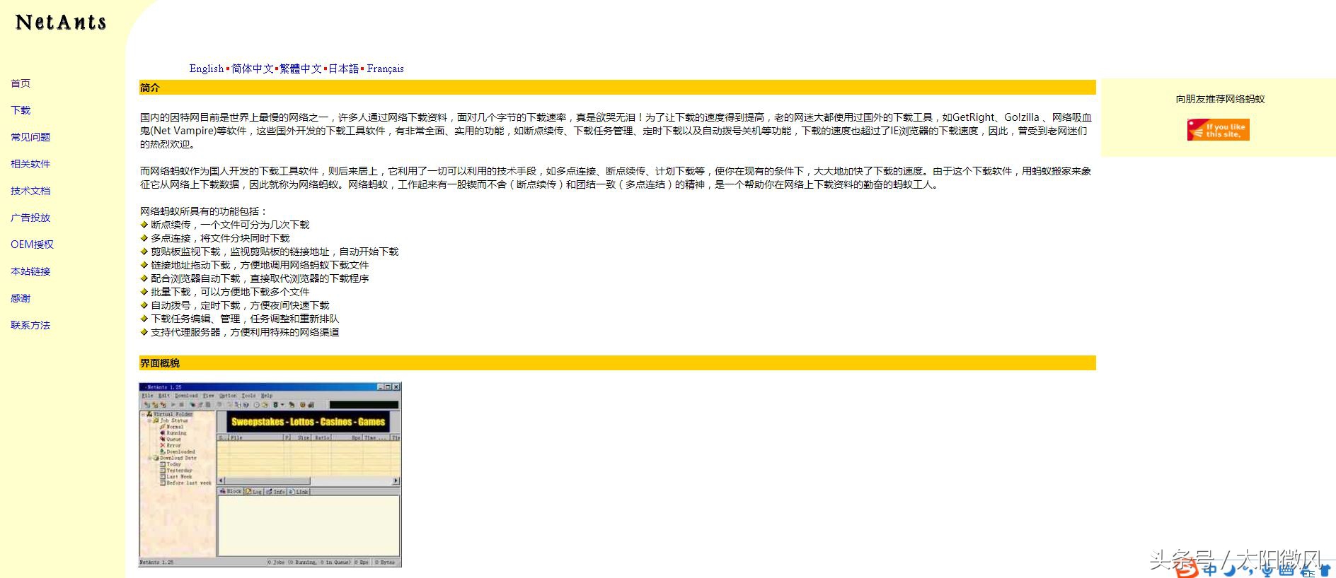 主流网站app,以前流行的网站