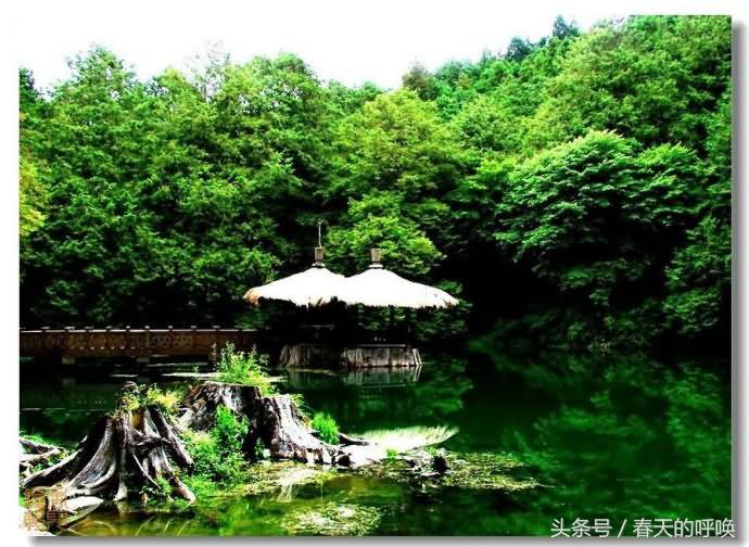 台湾阿里山仙境美如画,台湾省阿里山风景