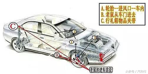 爱车被动物入侵怎么办,爱车被狗咬坏怎么办