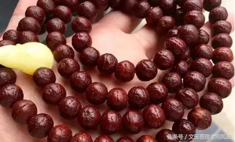 念青唐古拉菩提子,正宗凤眼菩提