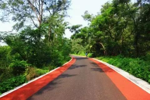 面朝大海春暖花开涠洲岛之旅,海景圣地涠洲岛