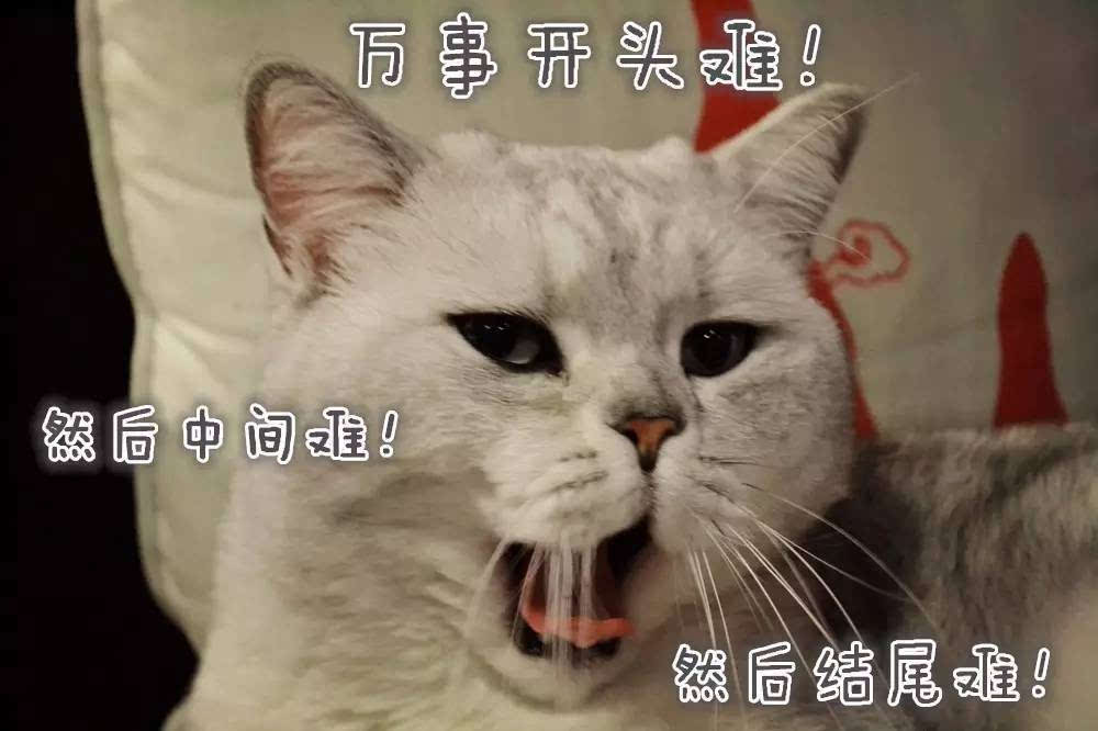 为什么微信群QQ群里推荐的股票都涨？