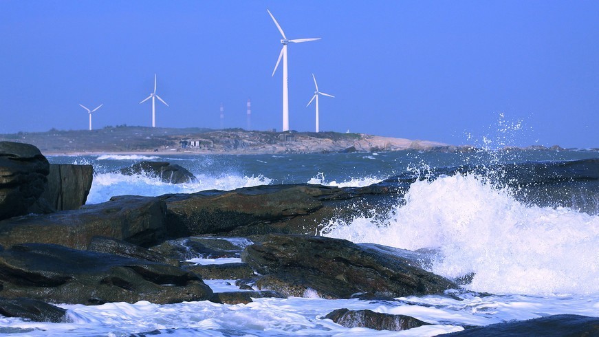 告别“华尔街之狼”般的财富人生，他选择回归300亩龙眼老树林