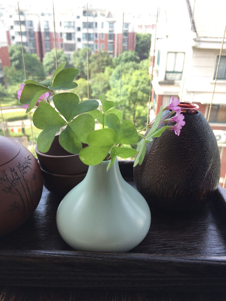 虚度光阴才是最好的状态,虚度时光才是人生的最高境界