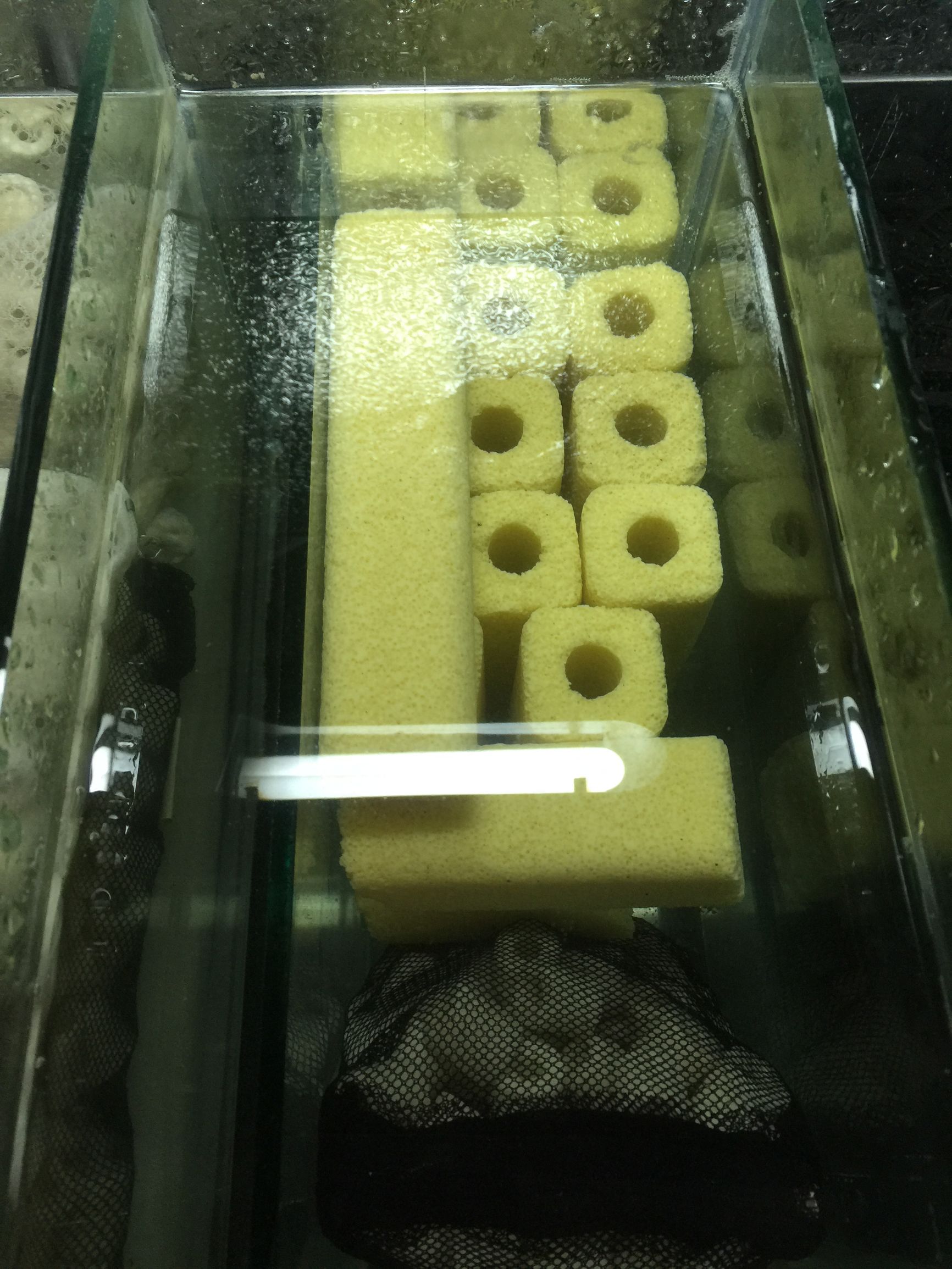 鱼缸diy用什么石头,鱼缸diy制作30元