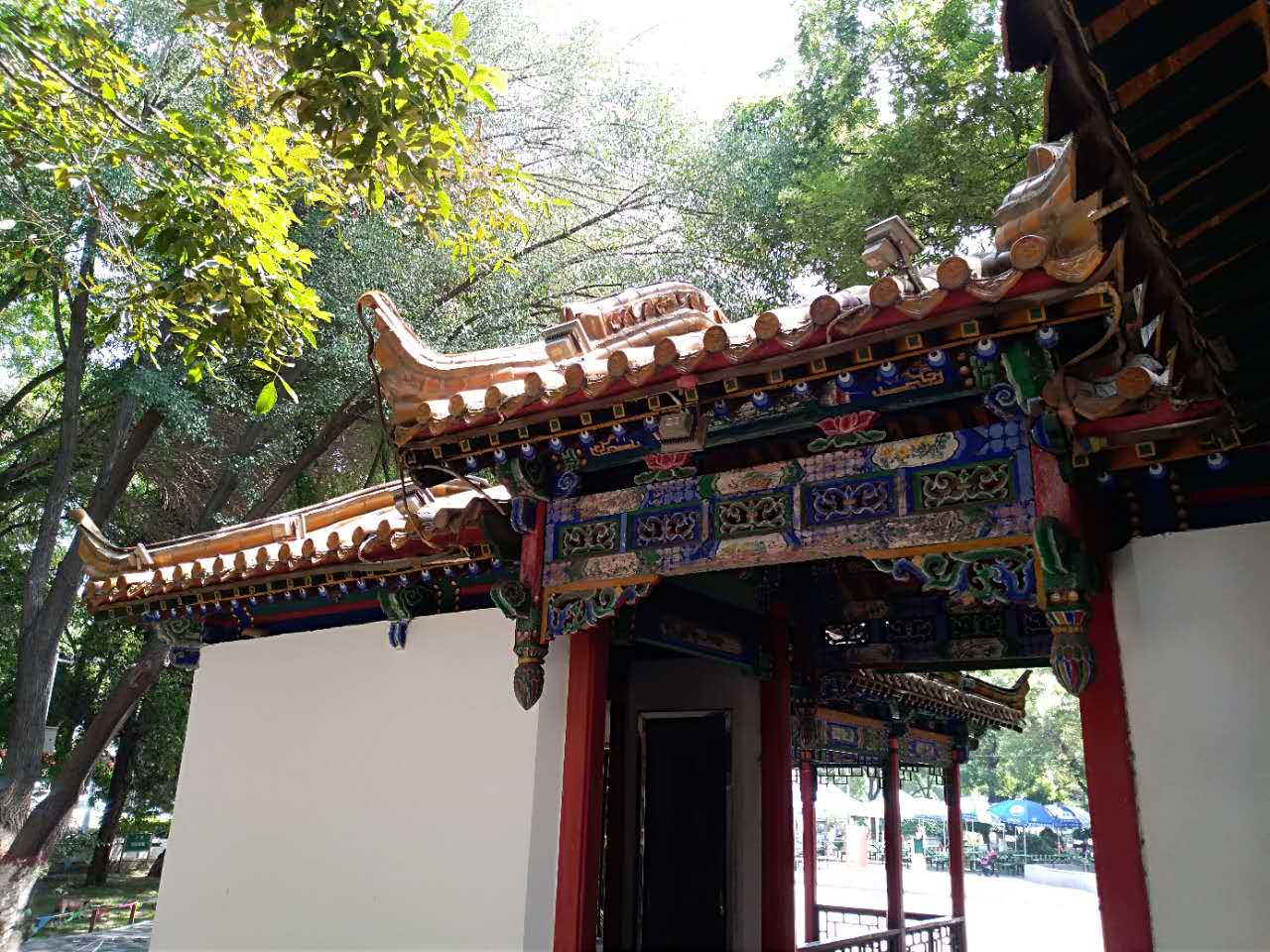 诗游记连载,诗游记全集