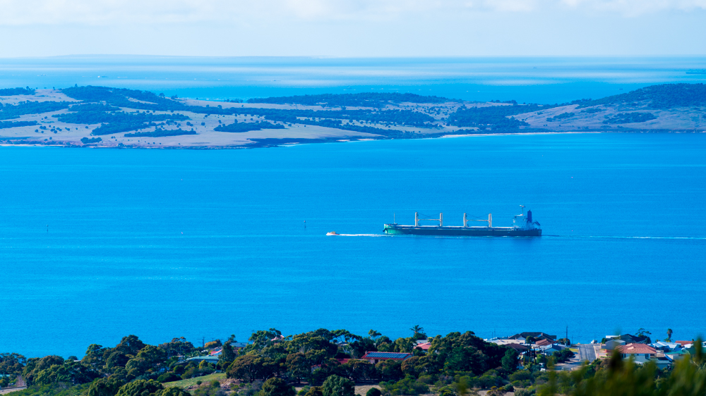澳洲生蚝哪里最好,全球顶级生蚝多少钱一个