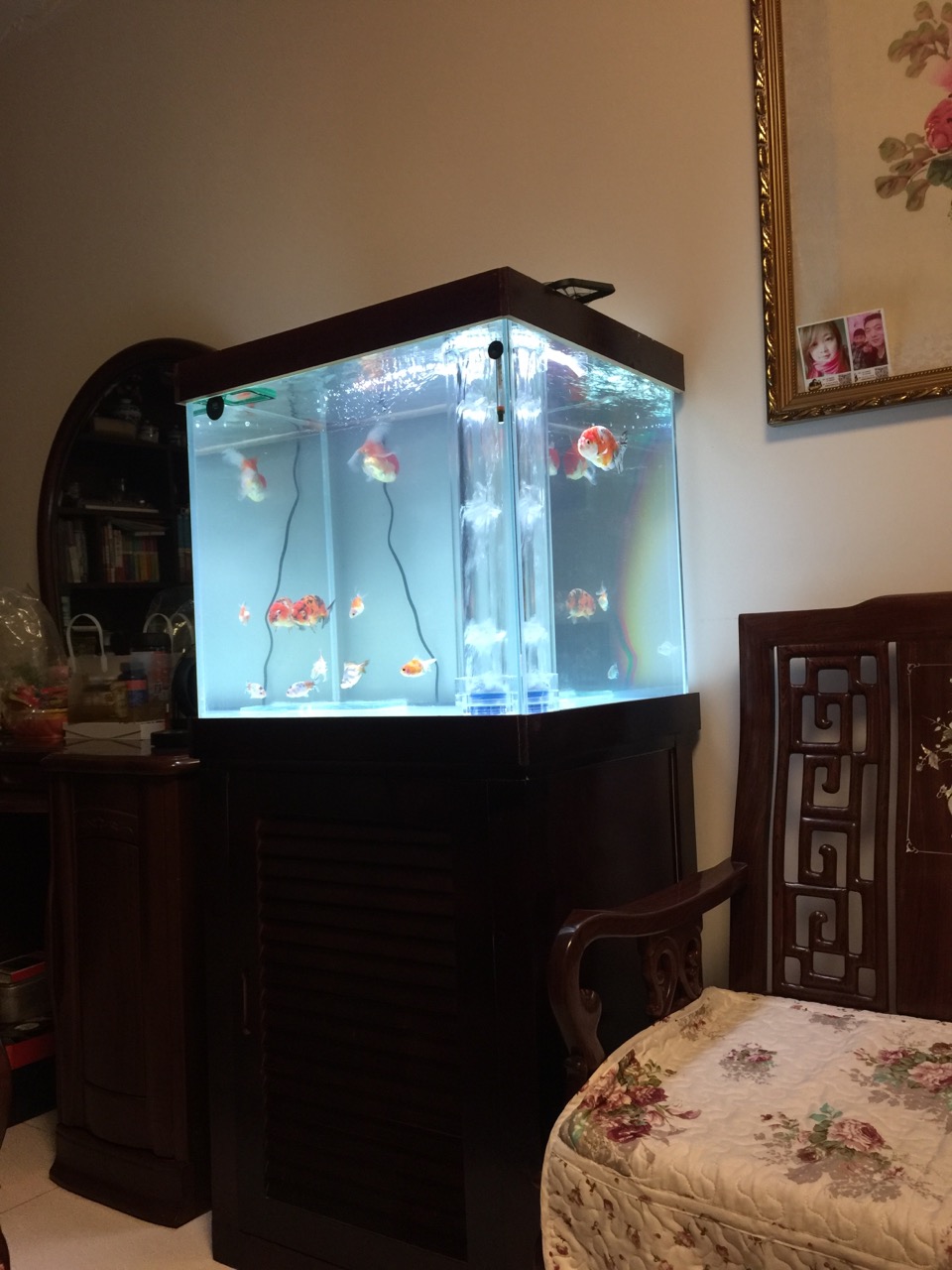 鱼缸diy用什么石头,鱼缸diy制作30元