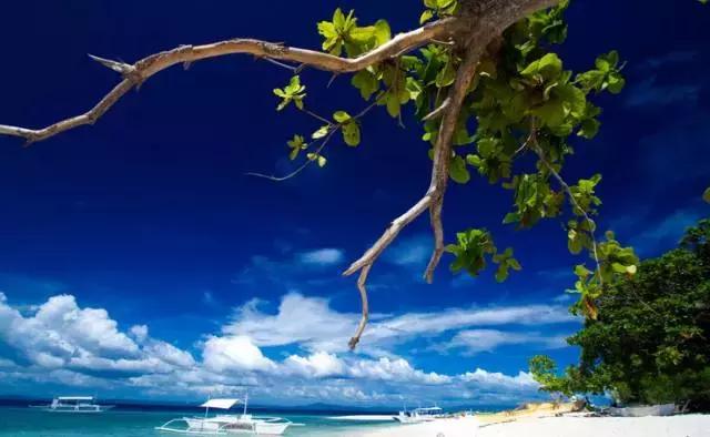 最值得去的4个海岛 (十大绝美海岛旅游攻略)