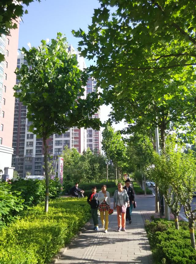 潍坊市圣基福安家园电梯,潍坊福安家园圣基铭座六楼价格