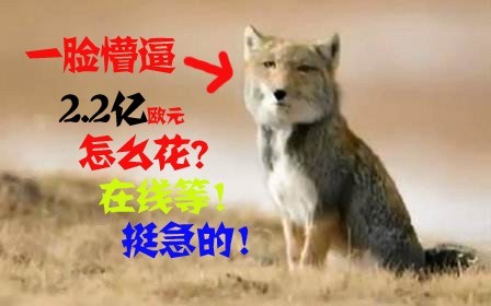 2.22亿欧元等于多少钱,2.22亿欧元是多少美金