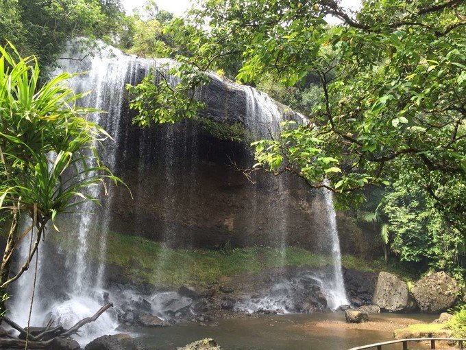 看鲨鱼，玩泥巴，看男人穿婚纱，带你看不一样的帕劳