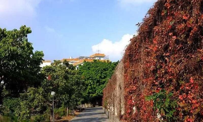 东莞市最美医生,最美医生广东东莞