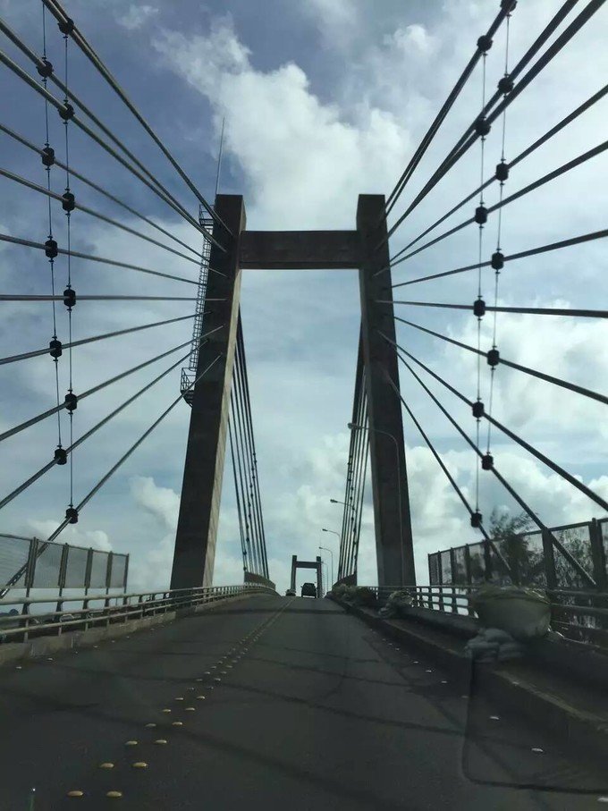 看鲨鱼，玩泥巴，看男人穿婚纱，带你看不一样的帕劳