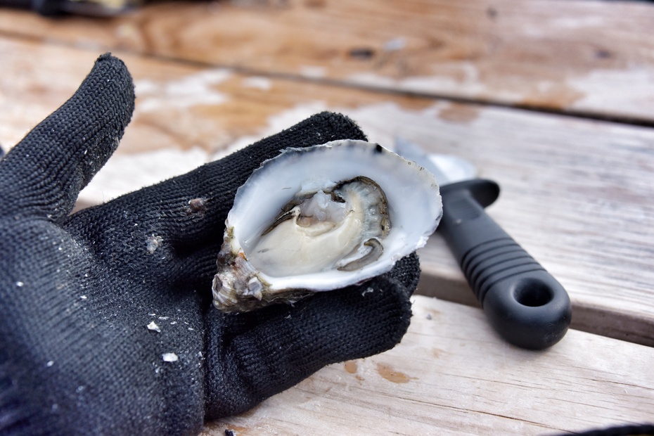 南大洋的深海,南大洋海域